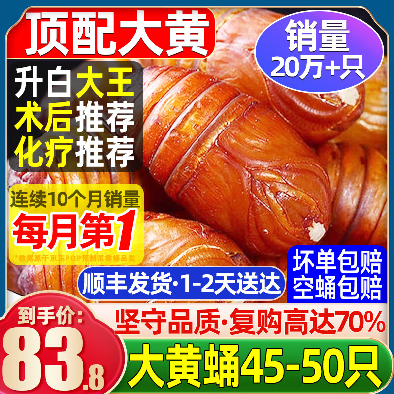 辽梦【销量20万+只】蚕蛹鲜活发货东北特产 新鲜茧蛹特级大黄蚕蛹蝉蛹 【顶配】大黄丨净重500g（45-50只）千人购买