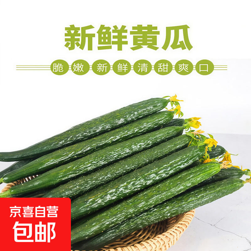 刺黄瓜新鲜采摘山东刺黄瓜口感清脆产地直发现摘现发整箱 带箱刺黄瓜1斤重 尝鲜装 1斤