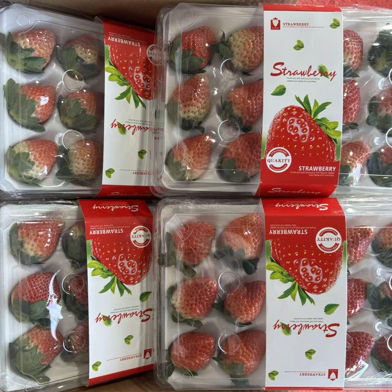 鲜宝道大凉山牛奶草莓礼盒【JD-多地次日达】 大凉山草莓3斤净重2.5斤，单果12g