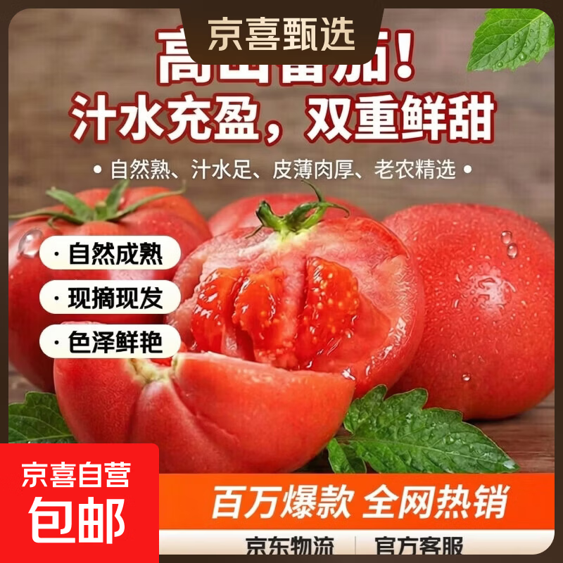 云南高山西红柿水果番茄可生吃新鲜蔬菜生鲜产地直发 西红柿 1斤 带箱