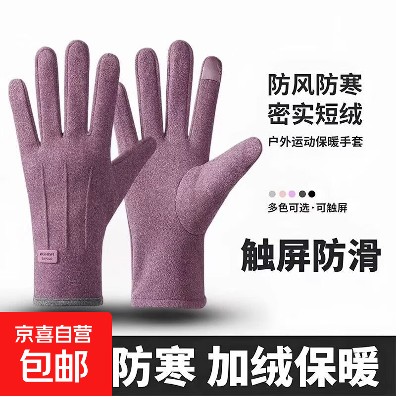 秋冬季手套女加绒加厚户外骑行电车开车防风防寒触屏冬天保暖手套 【女士三线】-紫色 均码