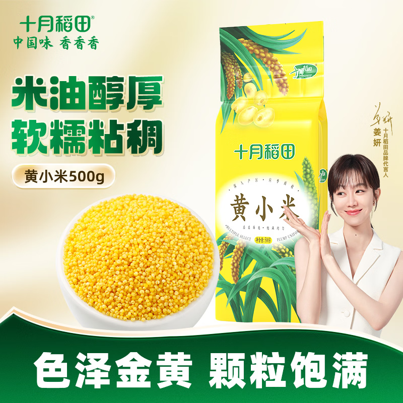 十月稻田 黄小米500g 粥米 五谷杂粮 小黄米 米饭伴侣  500g*1袋【尝鲜装】