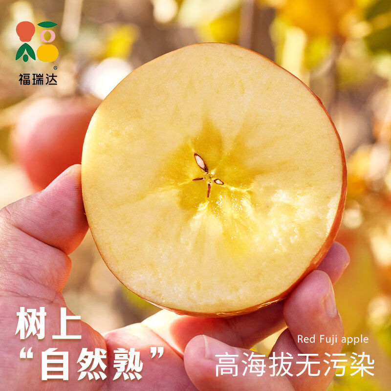 福瑞达正宗红富士苹果现摘冰糖心鲜水果应当季10斤脆甜山丑萍果整箱 3斤 70mm含75mm不含丨中果