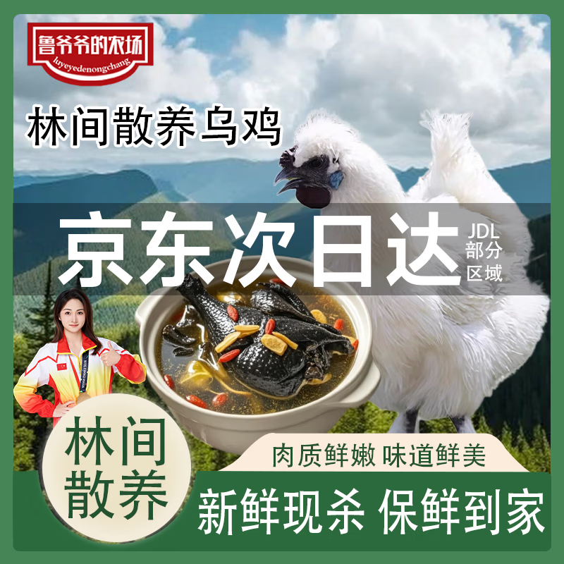 鲁爷爷的农场清真乌鸡新鲜现杀农家散养正宗乌骨鸡走地鸡煲汤食材 1只现杀乌鸡 净重700~800g
