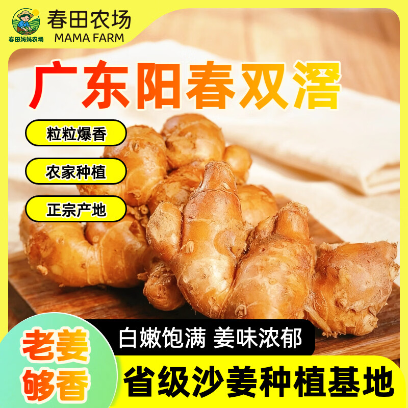 【沙姜之乡】广东特产正宗阳春双滘新鲜沙姜调味提鲜增香双窖山奈 广东省级沙姜种植基地甄选 【1斤尝鲜装】姜味浓郁，来自深山老林