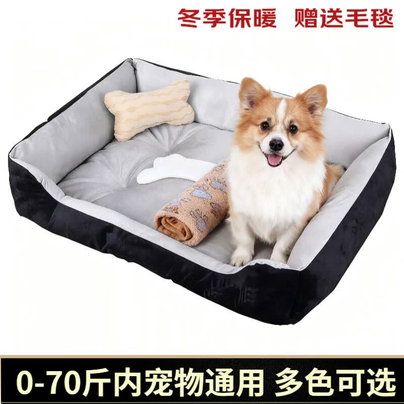 献给青铜铲屎官｜500买的狗却花了5000配齐装备，新手养宠需要哪些刚需品，胡子带你一起选～