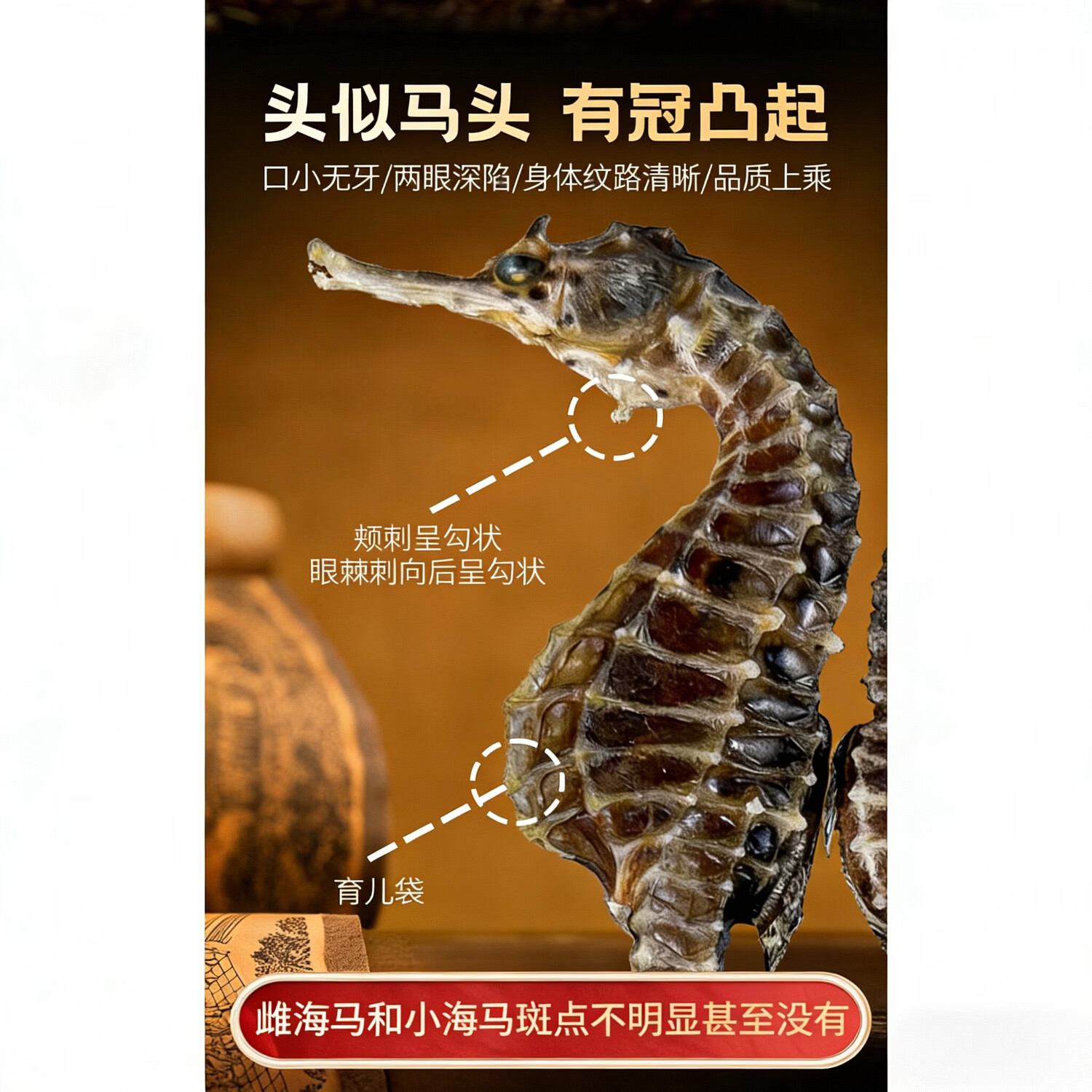 EcoSenlay新鲜晾晒海马干50条包邮中药材泡酒料煲汤男性滋补增高干货