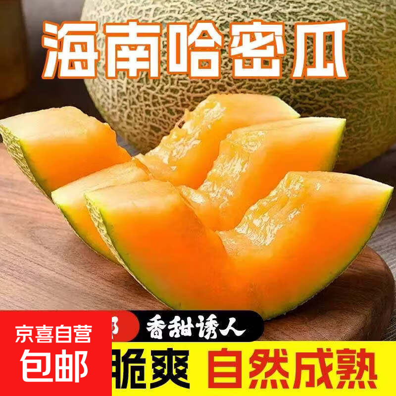 海南哈密瓜  脆甜多汁软糯香甜蜜西州密瓜 新鲜采摘应季生鲜水果 海南哈密瓜3-4斤（1-2个）