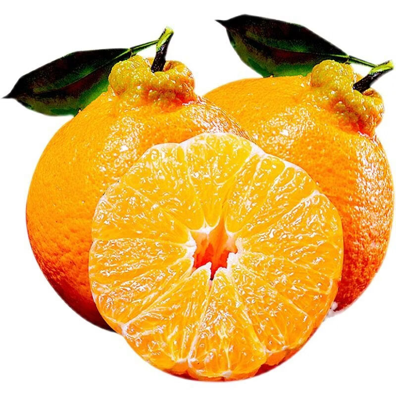 正宗四川春见耙耙柑4.5/8斤精品特大果一整箱时令新鲜水果 净重8斤中果90+mm（10-15个）