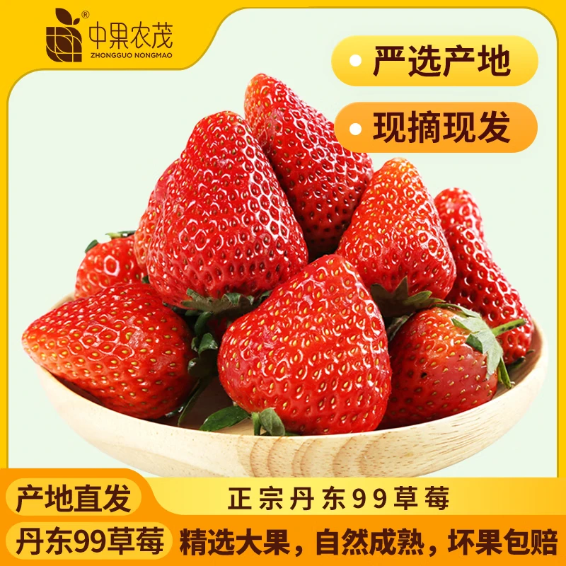 中果农茂丹东草莓【JD多地次日达】新鲜现摘草莓99红颜奶油大草莓年货礼盒 2斤【爆款主推装】净重1.8斤 A+级优选果【单果15-20g】