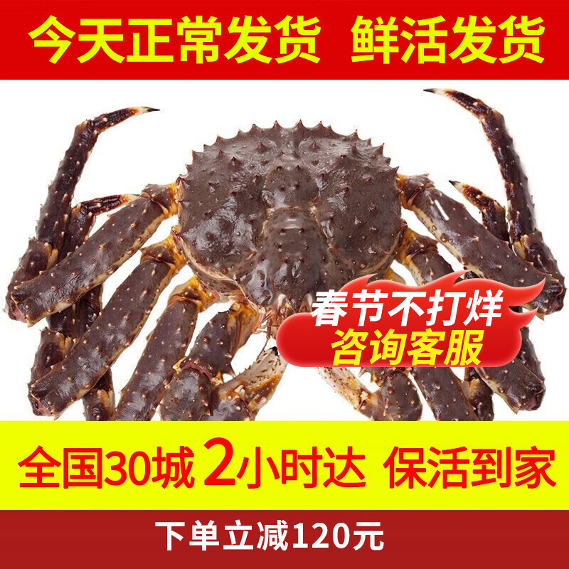 【活鲜】喵和渔 鲜活帝王蟹俄罗斯整只帝皇蟹大螃蟹阿拉斯加 4.1-4.5斤/只【鲜活发货】