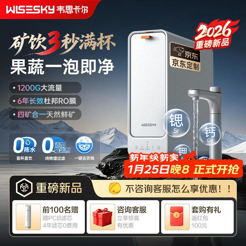 WISESKY韦思卡尔家用净水器D1双出水净矿1200G杜邦陶氏RO膜0阻垢剂破晓银