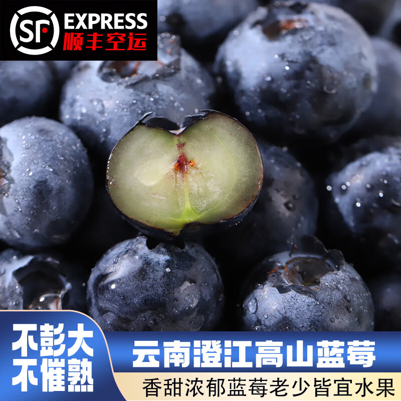 云南澄江抚仙湖花香蓝莓L25蓝莓脆甜天花板 超大果源头空运次日达 L25花香蓝莓125g*4盒装净重1斤+顺丰空运 中果15mm+