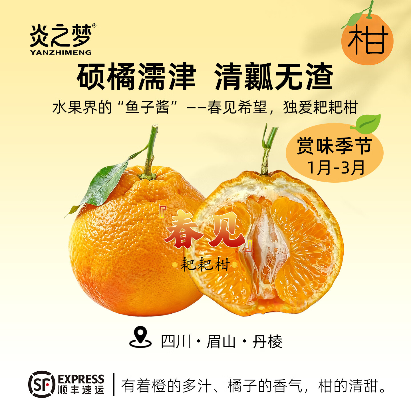 炎之梦®正宗晚熟高山春见耙耙柑四川眉山丹棱柑橘官方旗舰店严选水果 4.5-5斤彩盒装（大果 80mm以上）顺丰快递