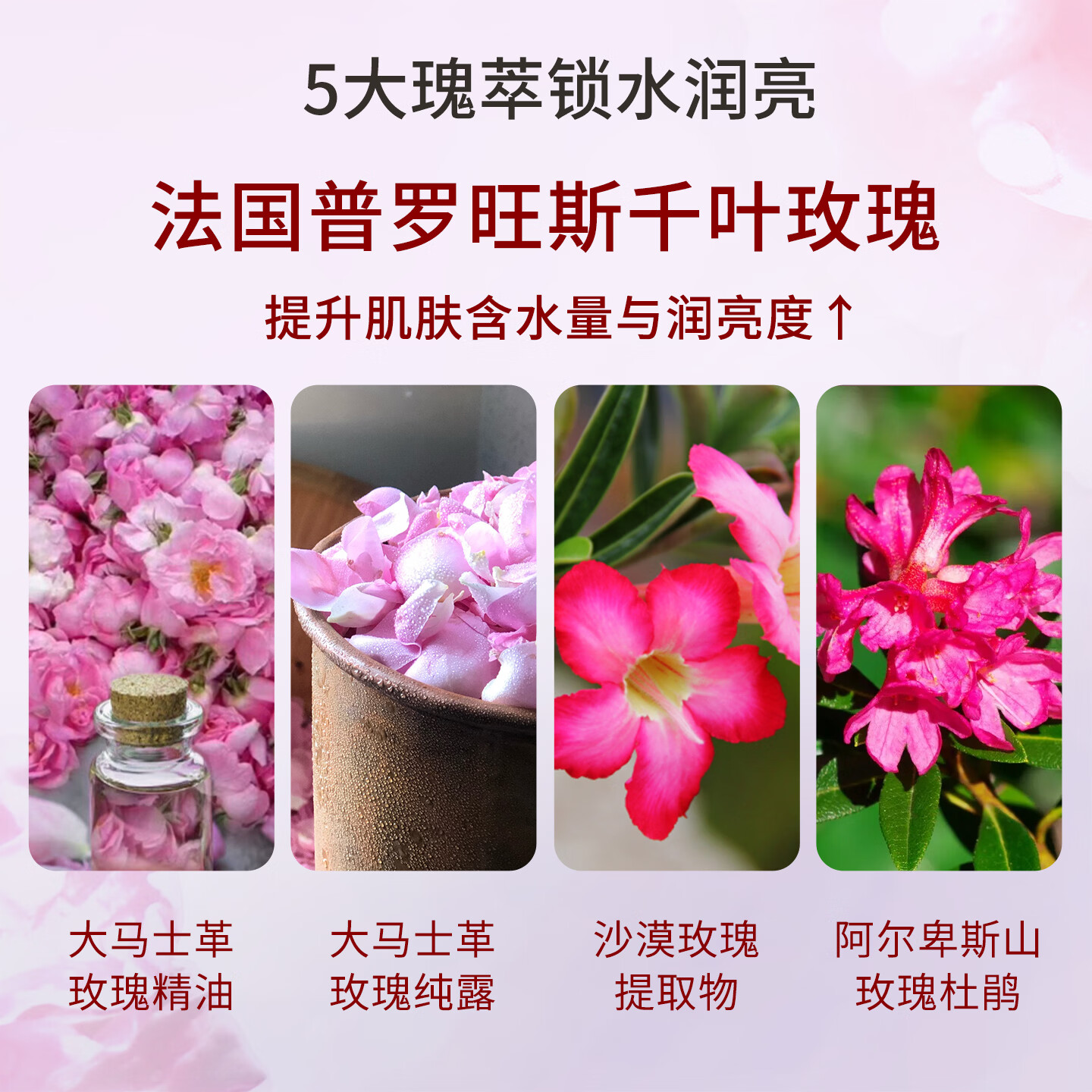 嘉媚乐（CAMENAE）玫瑰新肌密套装女秋冬面部护理套组合洁面水乳霜 玫瑰新肌密活润乳120ml-3代