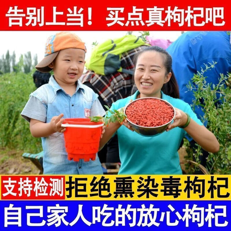 元聚祥同仁堂同款宁夏特一级新货红枸杞无熏硫正宗头茬大颗粒泡水养生茶 精选大果250克【一罐装】 250g*1罐