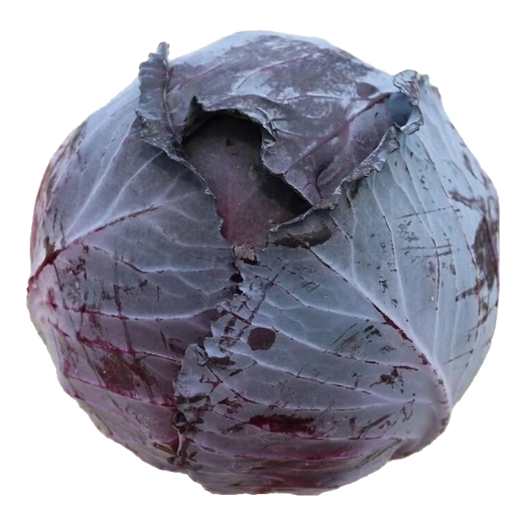 ���ڲ�������ɽ¶���ϸ��������ϰ��˾��Ĳ˻�����ɳ���߲˰������������߲� �����ϸ�����1-2����3�ﾻ�� ����ɽ��ɫ��ֲ��ÿ�����ʲ��� 7.98Ԫ