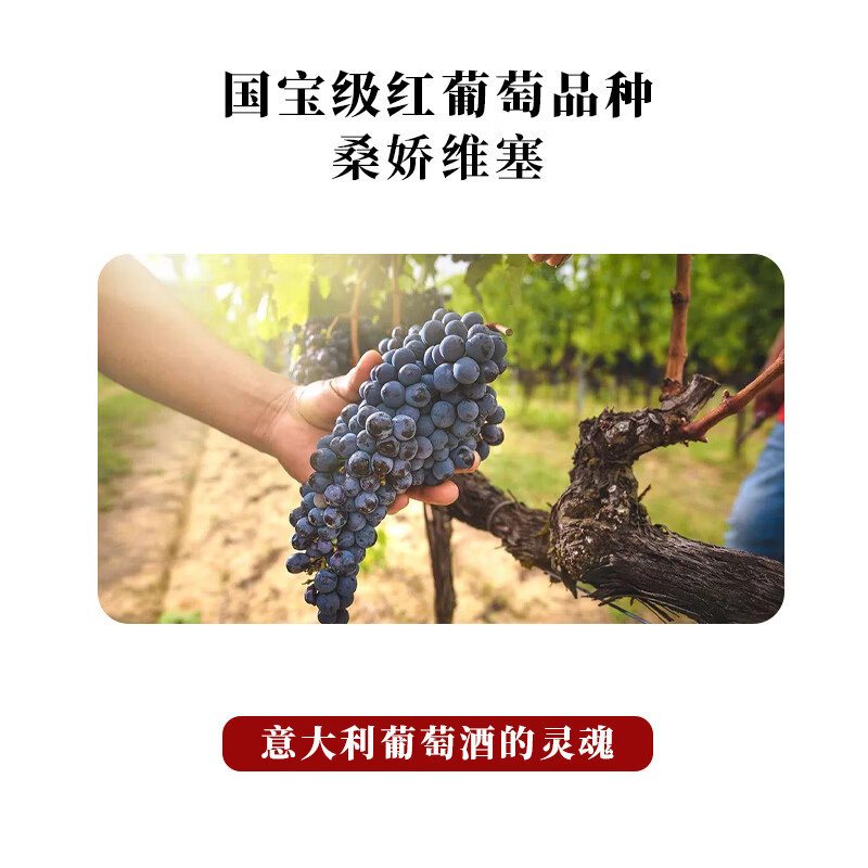 博颂【稀有重磅珍藏级】意大利进口普利亚桑娇维塞红酒干红葡萄酒 桑娇维塞750ml*2瓶【金奖】