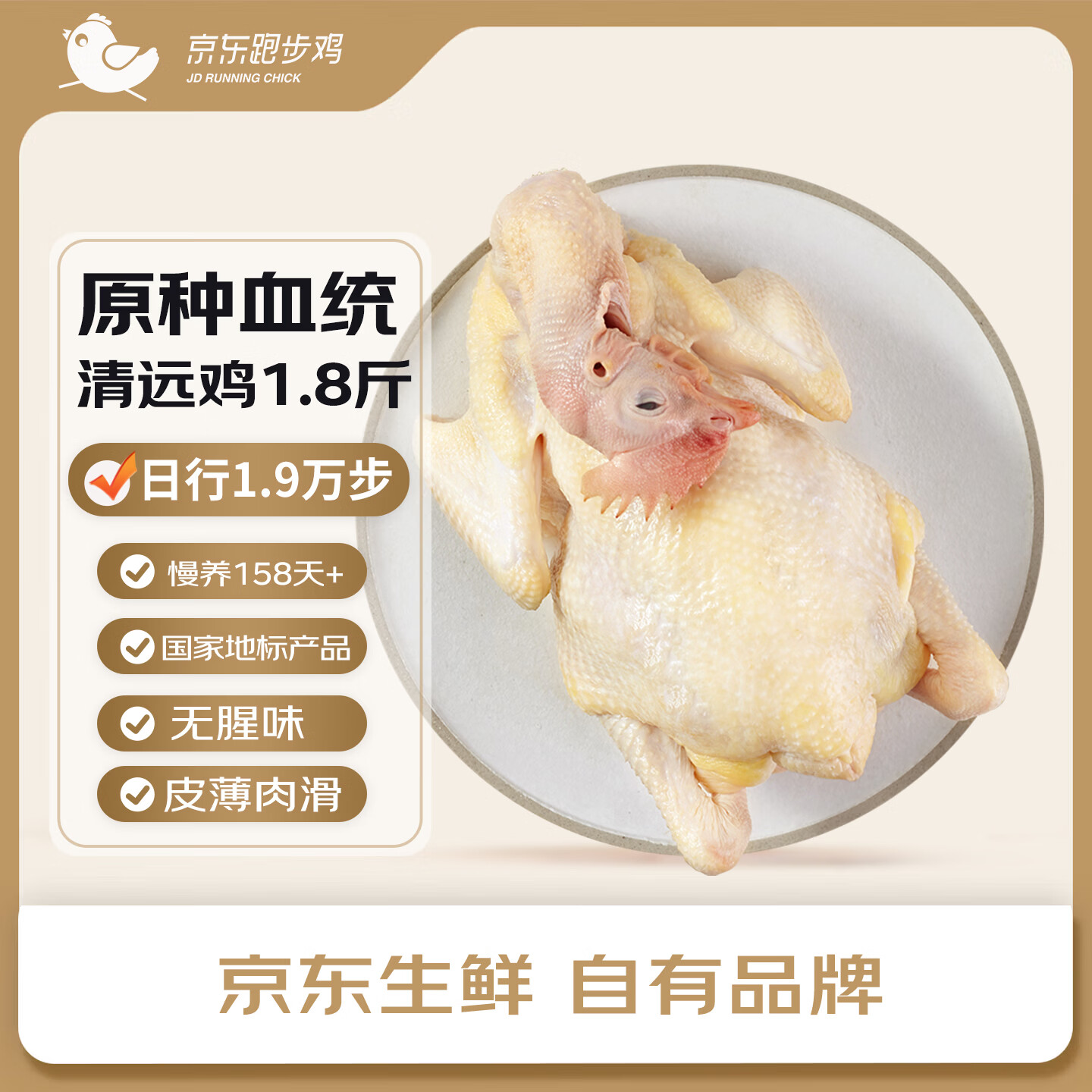 京觅原种无抗清远鸡 净重1.8斤 冷冻 158天散养走地鸡煲汤食材