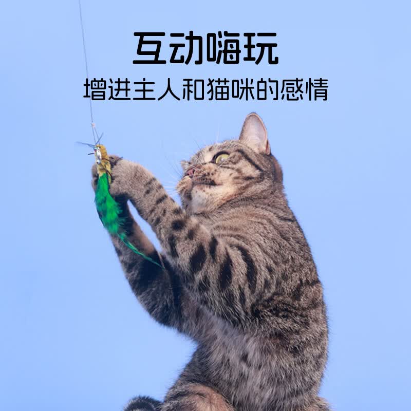 all for paws仿真昆虫逗猫棒 猫咪玩具耐咬抖猫自嗨替换头耐啃咬解闷神器 【新品】5只装虫子逗猫棒