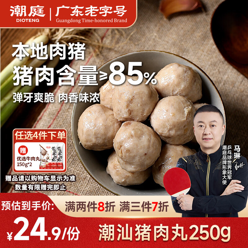 潮庭正宗手工猪肉丸250g 潮汕特产火锅食材烧烤关东煮麻辣烫煮汤早餐