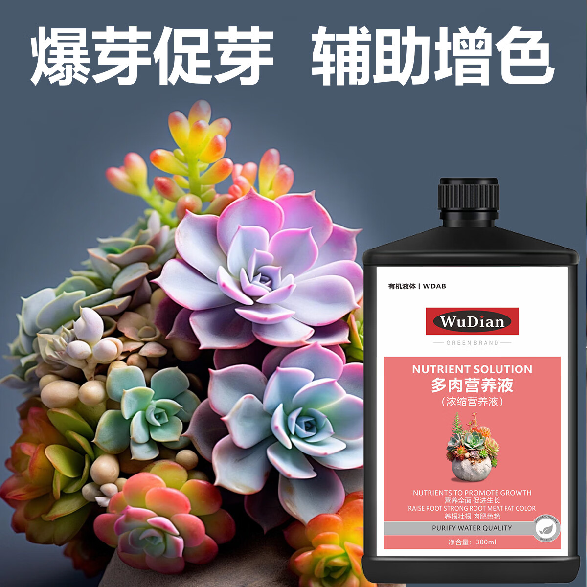 优芽素多肉专用促多头侧芽细胞分裂素促芽促生长催芽矮胖素爆芽素 【防治黑腐烂根】多肉专用营养液1100ml