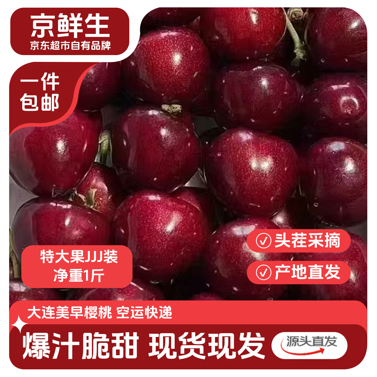 京鲜生大连美早樱桃/车厘子 JJJ级 净重1斤 单果10g+ 生鲜水果 源头直发