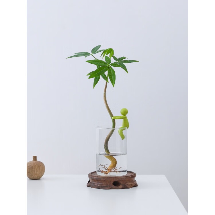 胖东来同款发财树水培盆栽客厅书房桌面办公室内四季懒人好养绿植 单杆发财树-圆筒杯-扶手小人 含盆