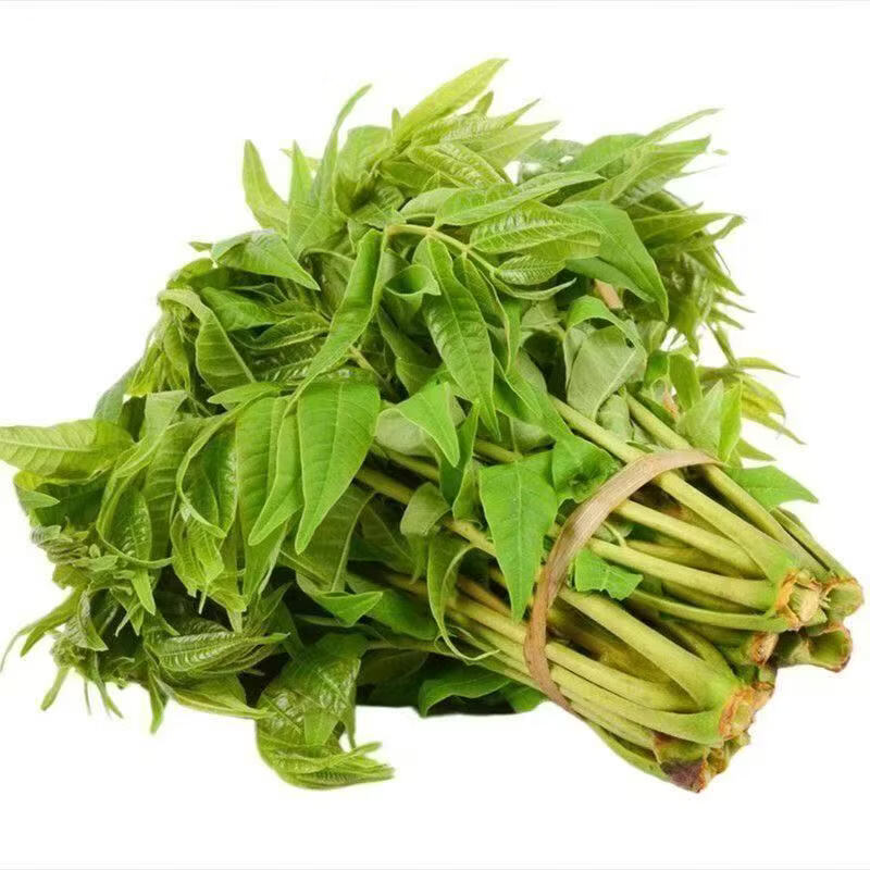 秦品堂香椿芽当季新鲜时令菜头茬秦岭香椿芽【顺丰冷链】叶绿色香椿嫩芽 【顺丰】半斤香椿