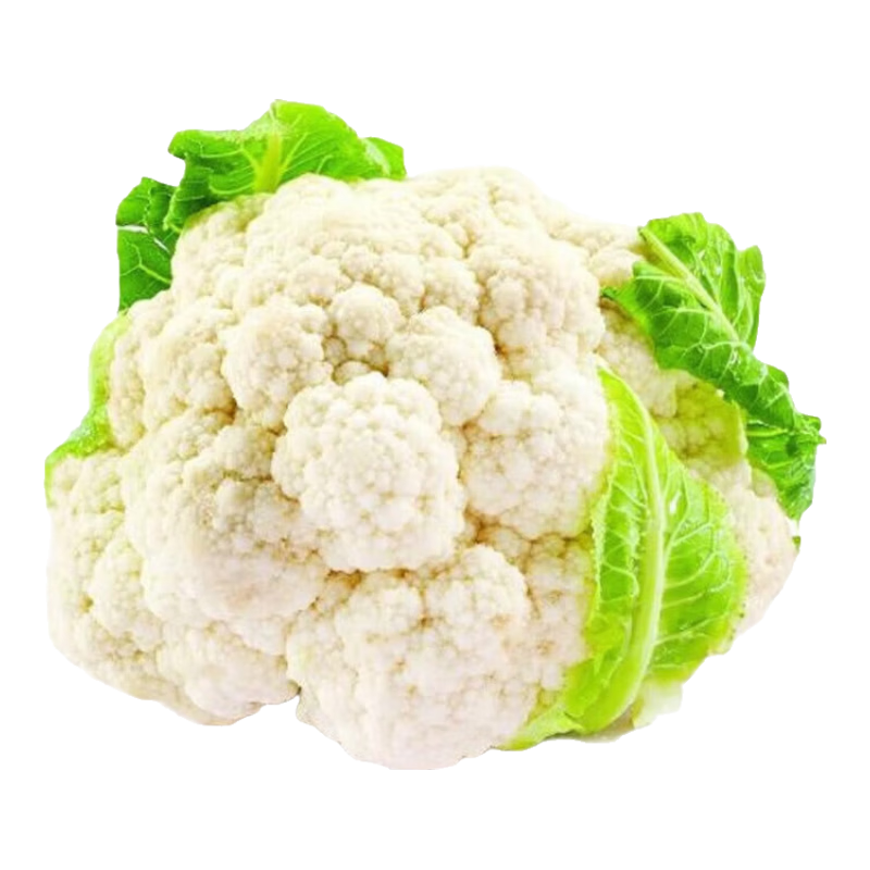 ���ڲ����������߲�ũ����ժ��ͳ�ײ˻�Ӧ��ʱ��ʳ����������������������� �����ײ˻�����2.8��