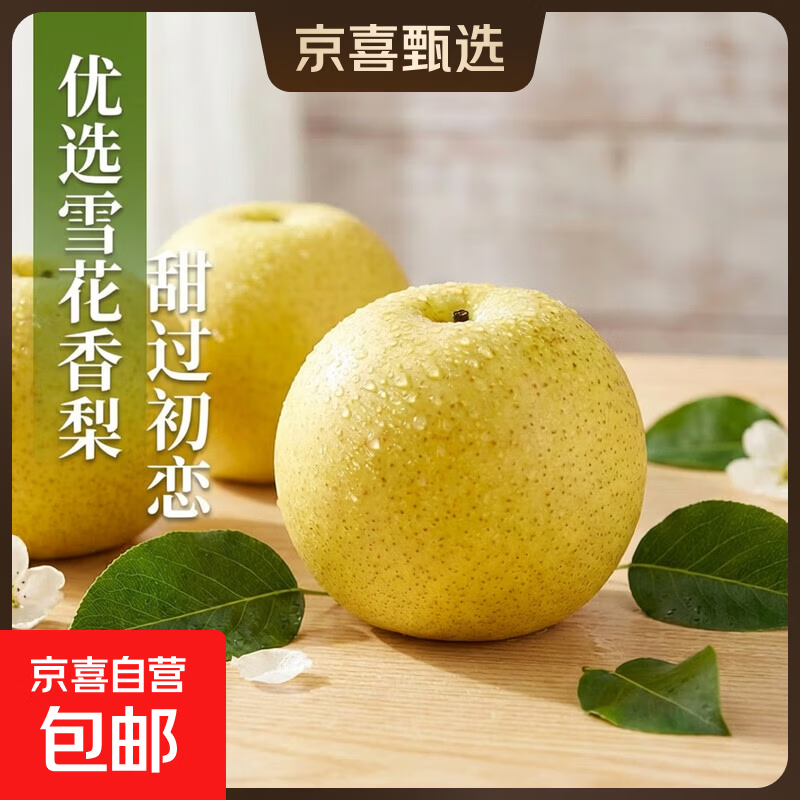 京喜加河北雪花梨赵县雪梨冰糖雪梨煲汤远达新24 净重5斤单果75-85mm