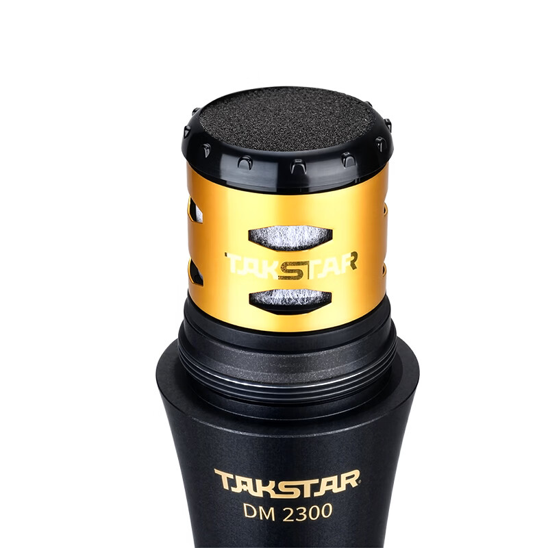 得胜(TAKSTAR)DM2300二代专业有线动圈麦克风直播K歌KTV唱歌音响调音台功放专用手持舞台演出主持户外OK家用话筒 得胜DM-2300 直线版 二代