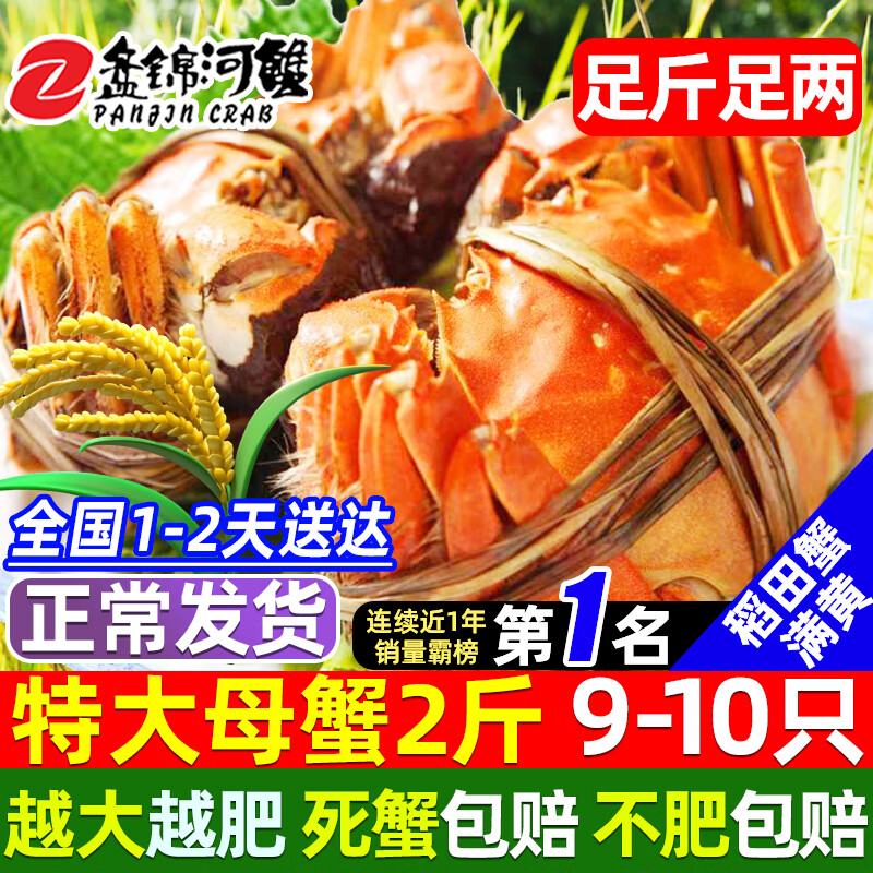 【活蟹】网兜蟹辽宁盘锦河蟹稻田河蟹礼盒螃蟹鲜活大闸蟹无绳净重 全母蟹丨2.0-2.2两【2斤】9-10只