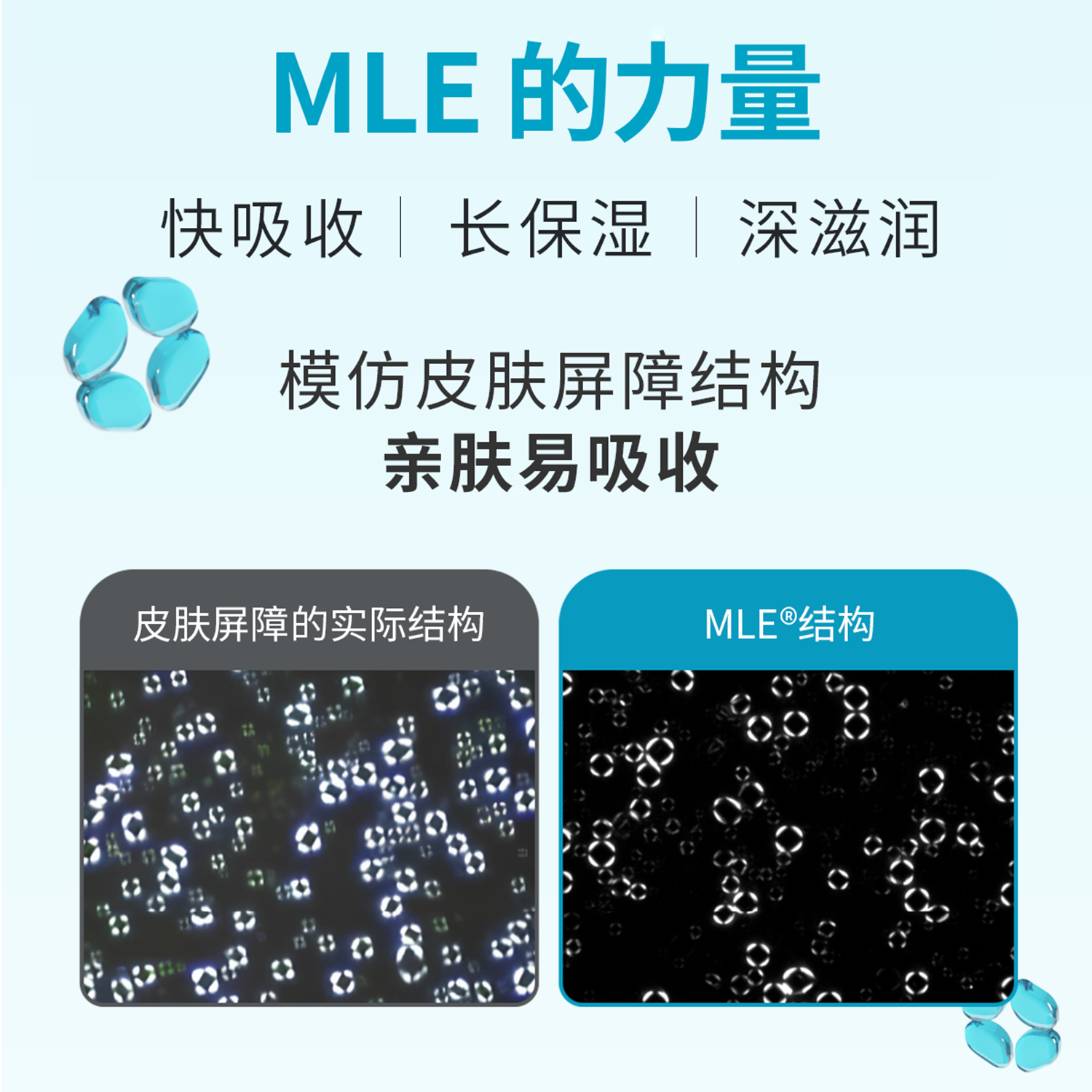 得妈贝DermaB日常保湿润体乳身体乳补水高保湿韩国润肤乳 400ml身体乳