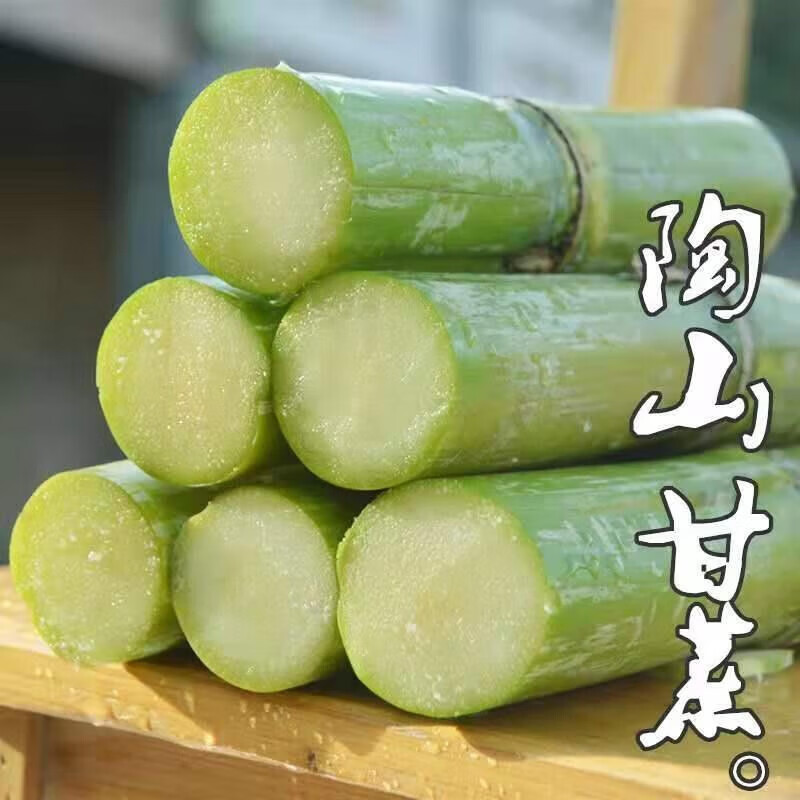余悦陶山甘蔗【顺丰速发】青皮甘蔗中段当季新鲜水果整箱温州手撕甘蔗 带箱3斤丨精选中段果蔗丨净2.5斤