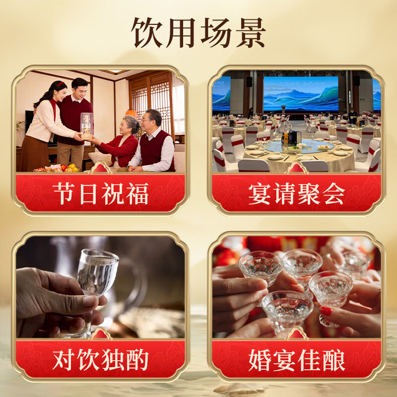 五粮浓香金枝玉液52度浓香型白酒精品纯粮酒 过节送礼聚会宴请A 52度 500mL 2瓶 【五粮液·金枝玉液麒麟 2瓶配礼袋】