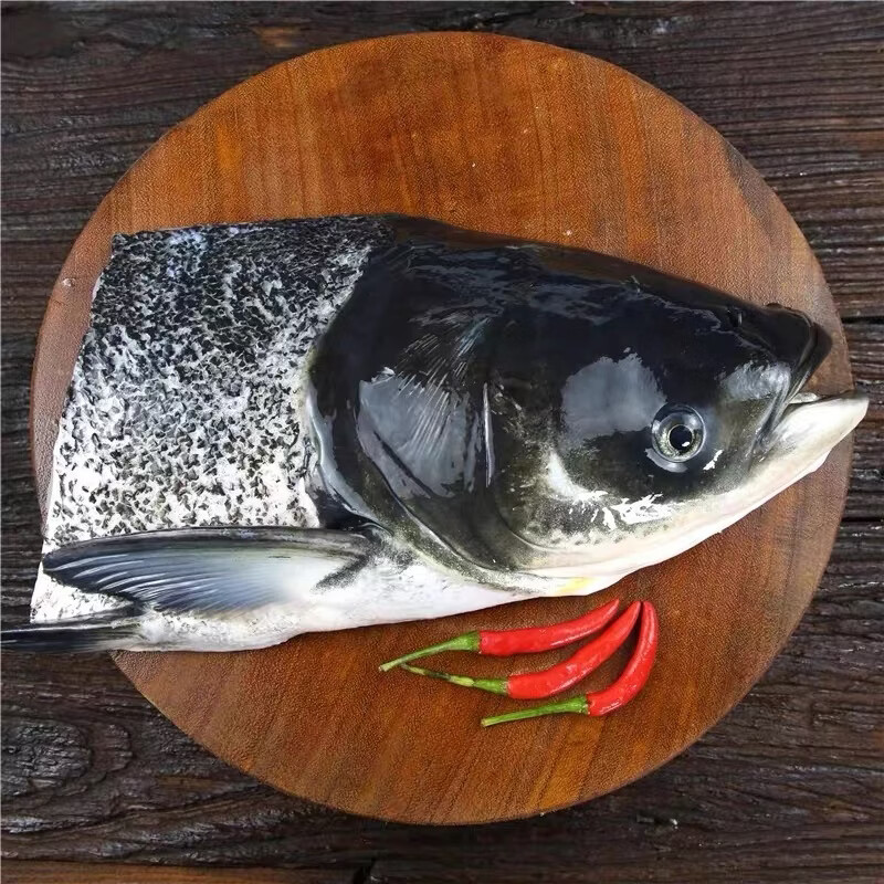 聚鲜品新鲜千岛湖鱼头 胖头鱼花鲢鱼头鳙鱼头超大淡水鱼 处理好去鳞发货 12斤/个鱼头（杀好切开约10.7斤）