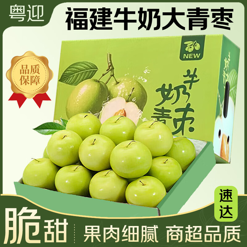 粤迎福建青枣牛奶枣新鲜水果脆甜枣贵妃蜜枣当季孕妇可吃现摘现发 5斤精选果【单果60g+】净4.5-5斤