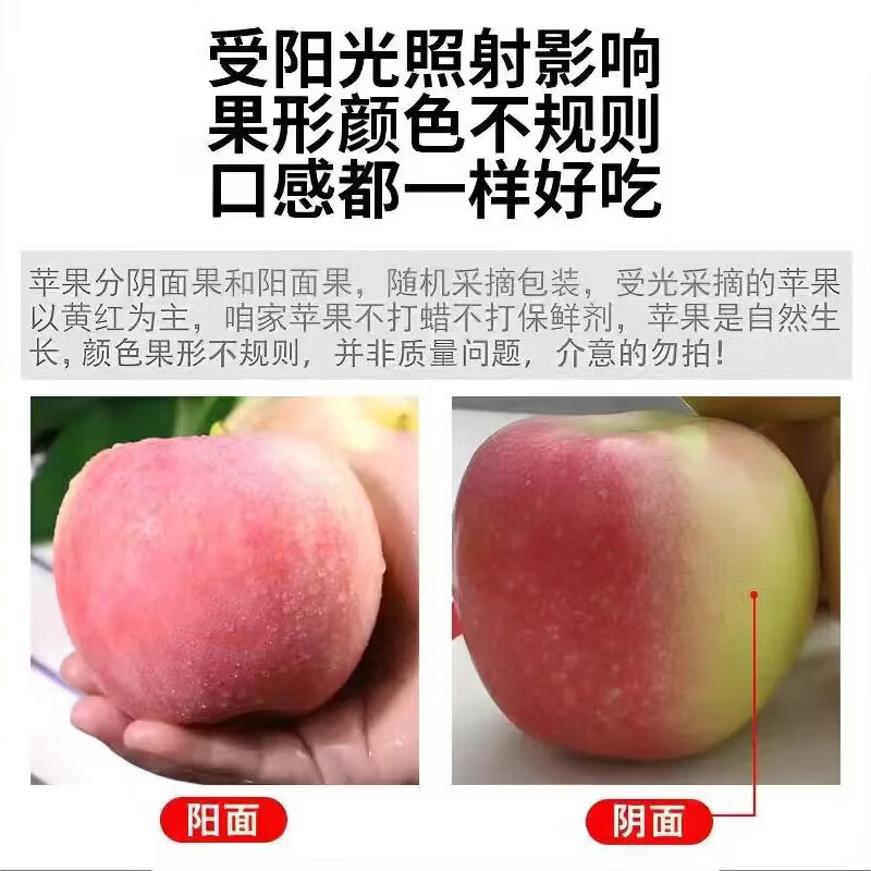 https://img14.360buyimg.com/pop/jfs/t1/392775/16/12673/77601/6985cb6cF95a89c37/00833203203a42b5.jpg