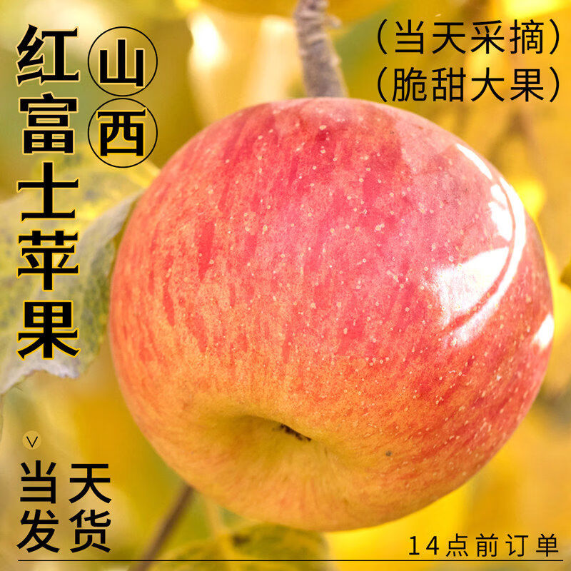 福瑞达正宗红富士苹果现摘冰糖心鲜水果应当季10斤脆甜山丑萍果整箱 3斤 70mm含75mm不含丨中果
