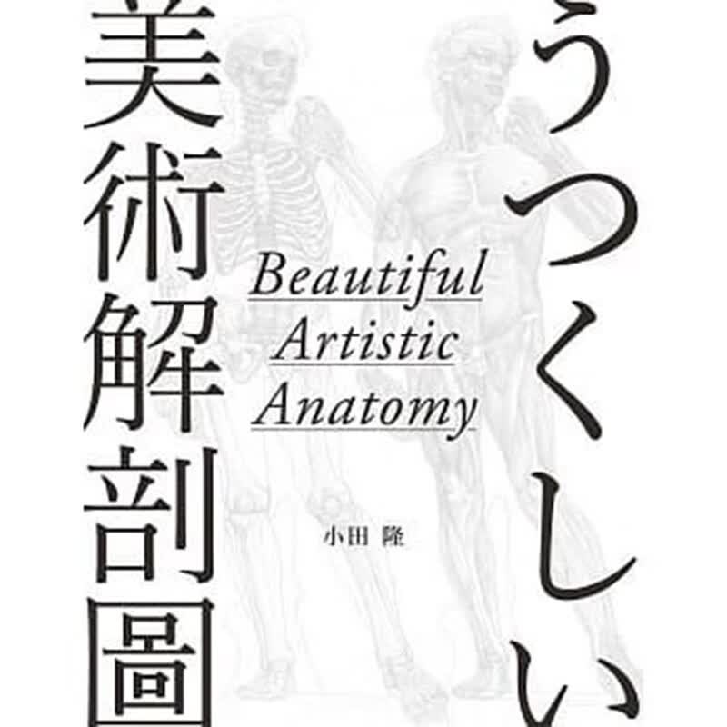 预订台版 美术解剖图 绘画 雕塑 设计这方面的世界中 素描绘画技法 图解艺术设计