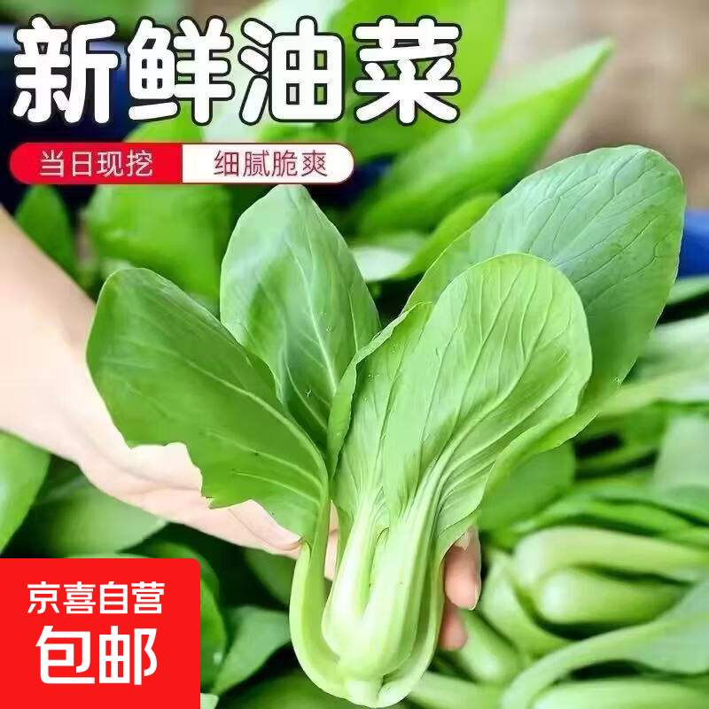 ���ڲ������Ϻ����ļ�С�����Ŵ�����ָ��ַ� �����Ϻ���һ�ﾻ��0.8�� 3.9Ԫ