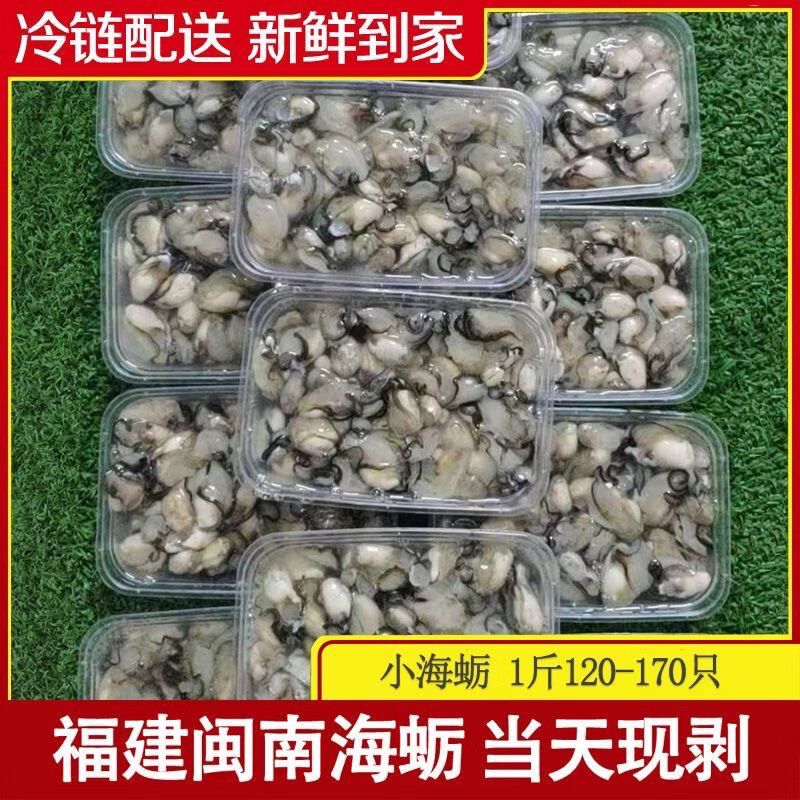 京东冷运福建小海蛎现剥无泡水牡蛎海蛎生蚝肉新鲜发货蚝烙蚵仔煎 2000g--每斤含150克左右原浆液--介意勿拍