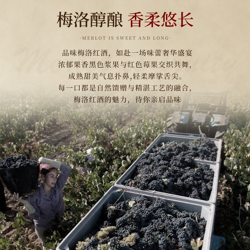 路易拉菲（LOUIS LAFON）法国进口红酒特藏梅洛13度干红葡萄酒750ml*2瓶双支礼盒年货送礼 【稀缺13度】特藏双支礼盒