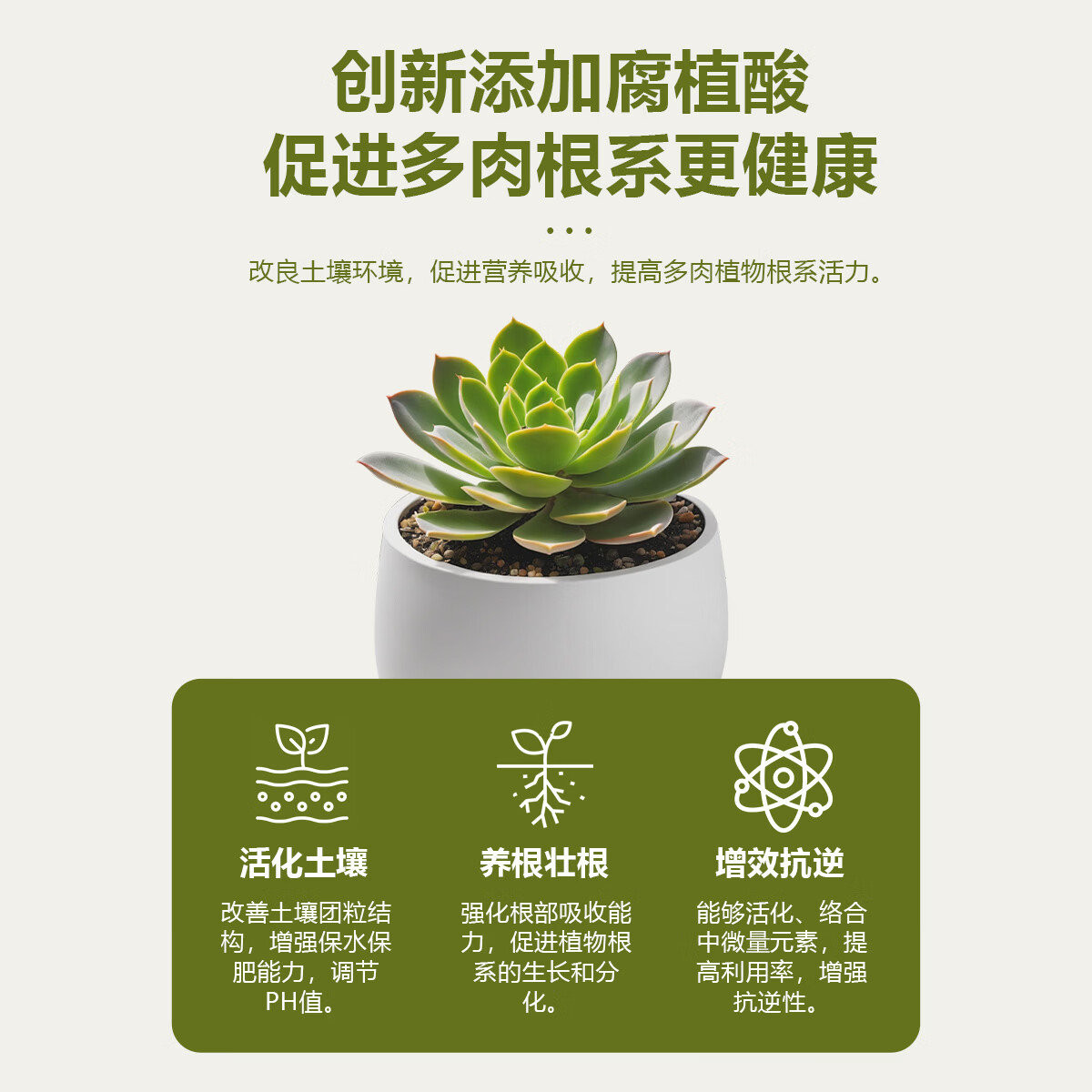 多肉营养液专用肥植物肥料水溶上色液体优芽爆芽矮壮生根素营养液 全多肉植物专用营养液1100ml