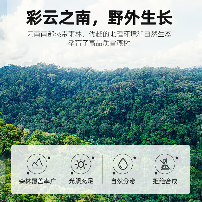 刀蔓桃胶雪燕皂角米组合 娇颜女神饮品组合煲甜汤炖煮花草茶罐装 桃胶+雪燕+皂角米 各 200g*1瓶