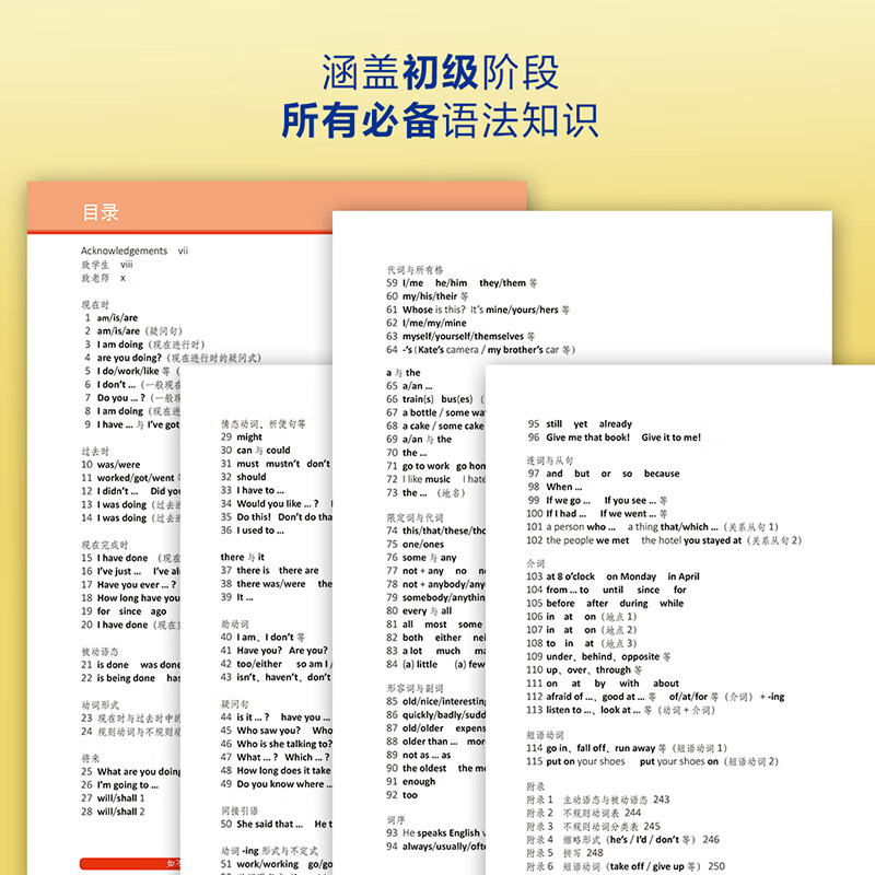 【官方正版】 剑桥初级英语语法+剑桥初级英语语法练习全2册(第四版中文版)