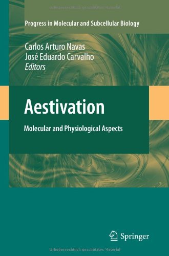 预订 Aestivation