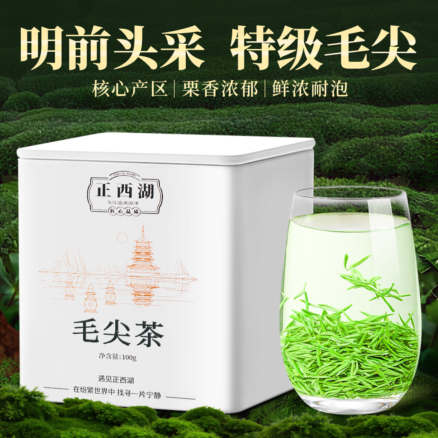正西湖茶叶特级毛尖绿茶2026新茶明前头采嫩芽茶叶自己喝自饮罐装100g
