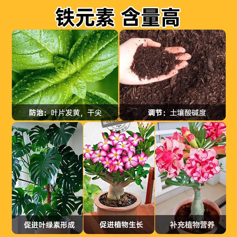 智绿硫酸亚铁花肥料喜酸植物栀子花茶花杜鹃花桂花水溶肥防黄叶家用肥 硫酸亚铁瓶装500g